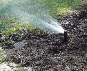 sprinklers watering