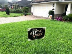 Best lawn award