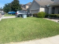after photo