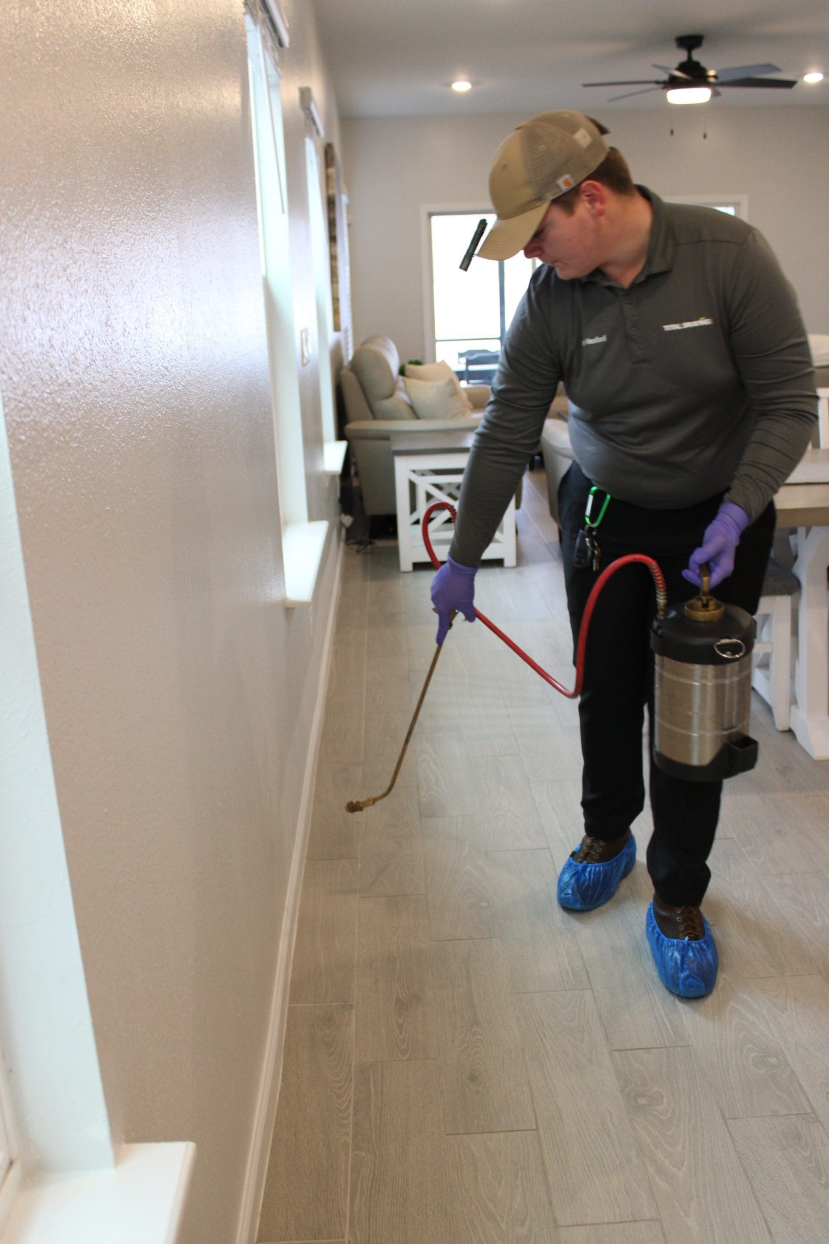 inside pest control