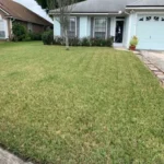 fertilization jacksonville fl
