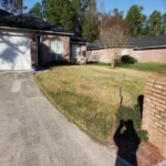 Winter damage jacksonville fl