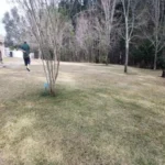 Winter damage