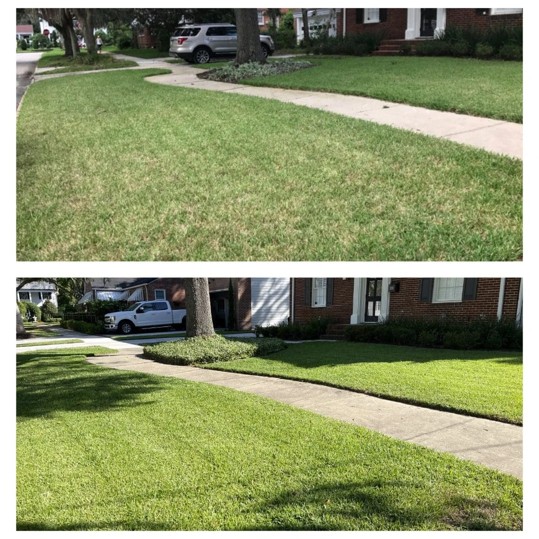 Baymeadows_lawn_care