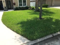 Lawn treatments Jacksonville, fl