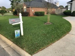 Lawn treatments Jacksonville, fl