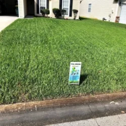 Fertilization Jacksonville fl
