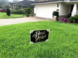 Lawn treatments Jacksonville, fl
