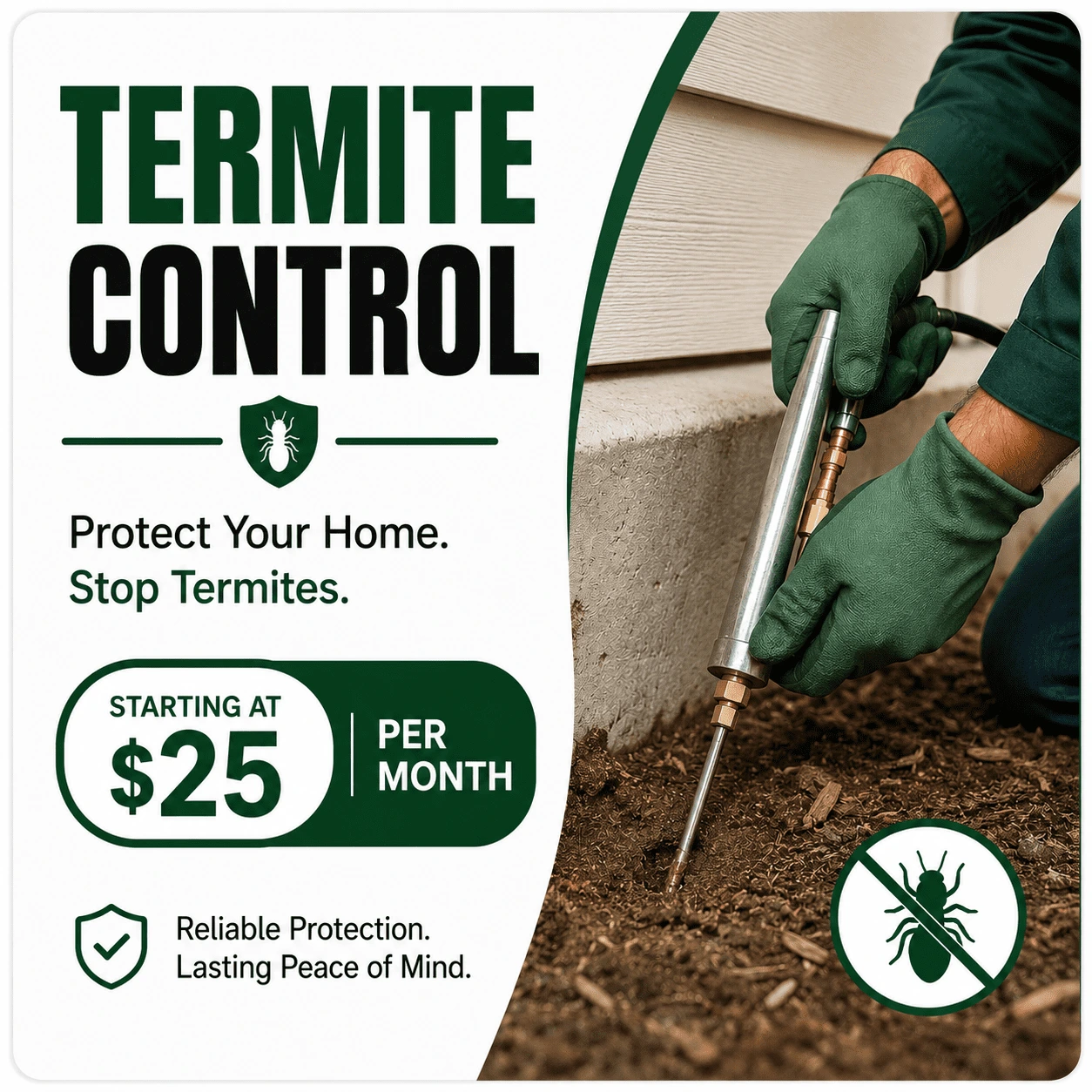 Termite Jacksonville Fl starting at $25 per month