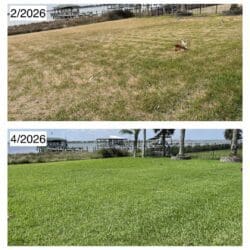 Before and after photo of winter damage