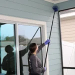 dusting pest control