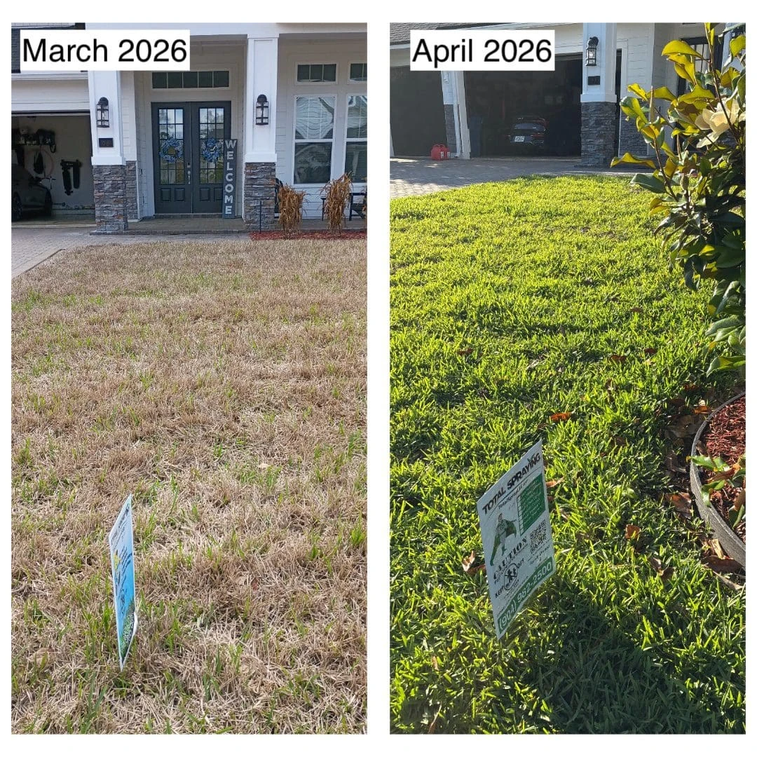 Winter_St_Johns_County