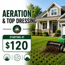 Aeration & top dressing jacksonville fl