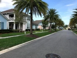Lawn treatments Jacksonville, fl