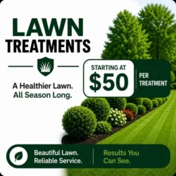 lawn treatments jacksonville fl