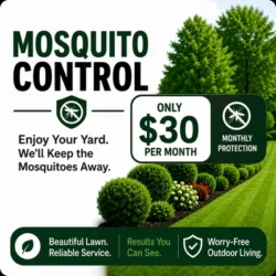 Mosquito control