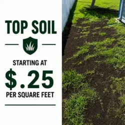 Top soil
