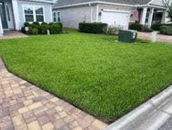 Fertilization Jacksonville, Fl