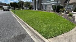 Basic Service Fertilization Jacksonville, Fl