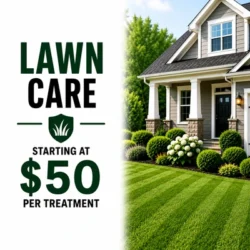 lawn care