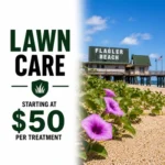 List of Services- lawn care