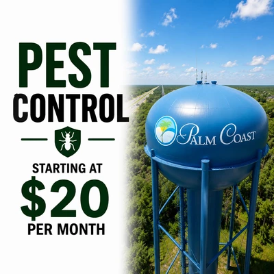 Professional pest control service in Palm Coast, FL protecting homes and businesses from common pests.
