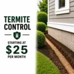 List of Services- Termite