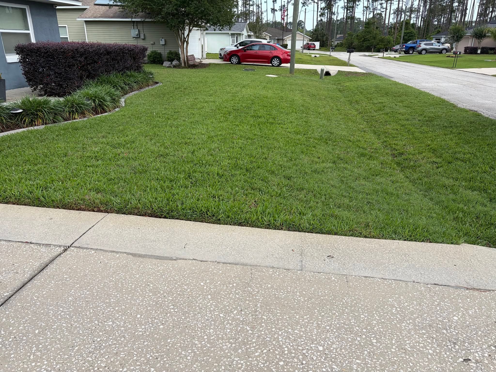 Fertilization Jacksonville, Fl
