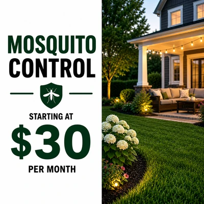 Mosquito control